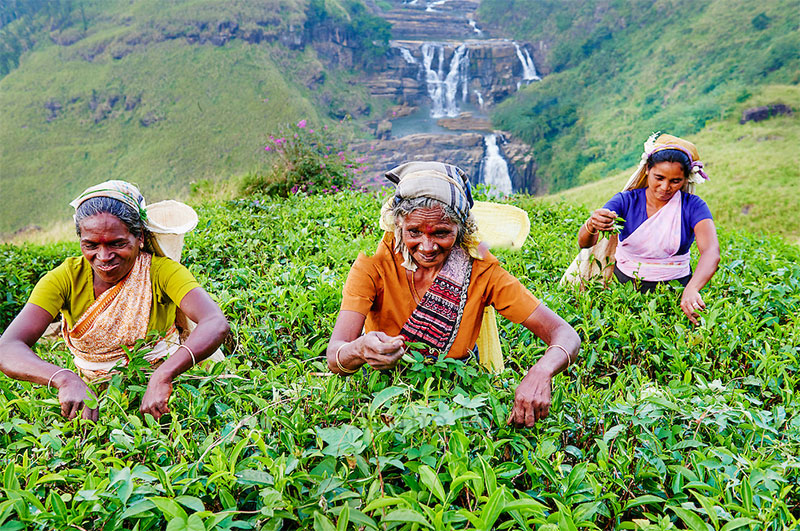 18-Day Sri Lanka Tour private Sri Lanka tour
